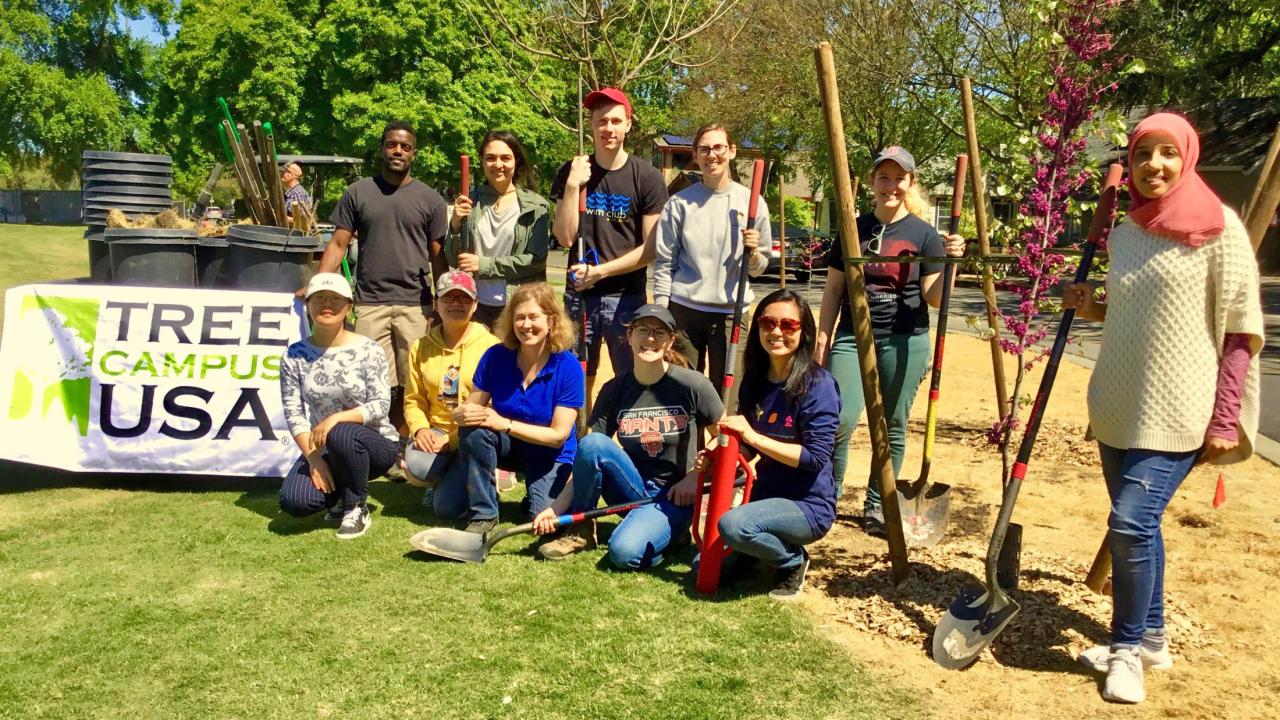Students, faculty and staff participate in a tree planting event along the east side of campus as part of the UC-wide Cool Campus Challenge and to support our continued status in Tree Campus USA. Image of tree planting on the east side of campus.